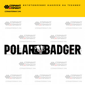 Hаклейка POLAR BADGER