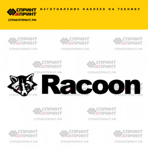Hаклейка RACOON