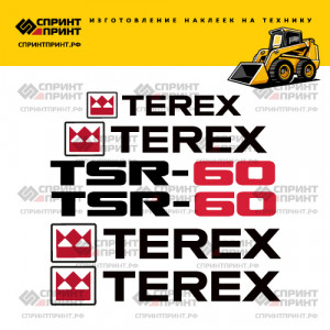 Наклейки на мини погрузчик TEREX TSR60